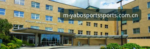 5步搞定yabosports账号注册：YABO体育官网手机端入口与安装包实操